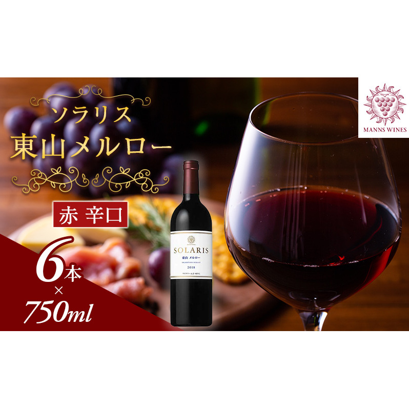 ソラリス 東山メルロー 6本セット ワイン 赤ワイン 受賞歴多数あり お酒 酒 アルコール 信州 長野長野県上田市238000酒・アルコールワイン