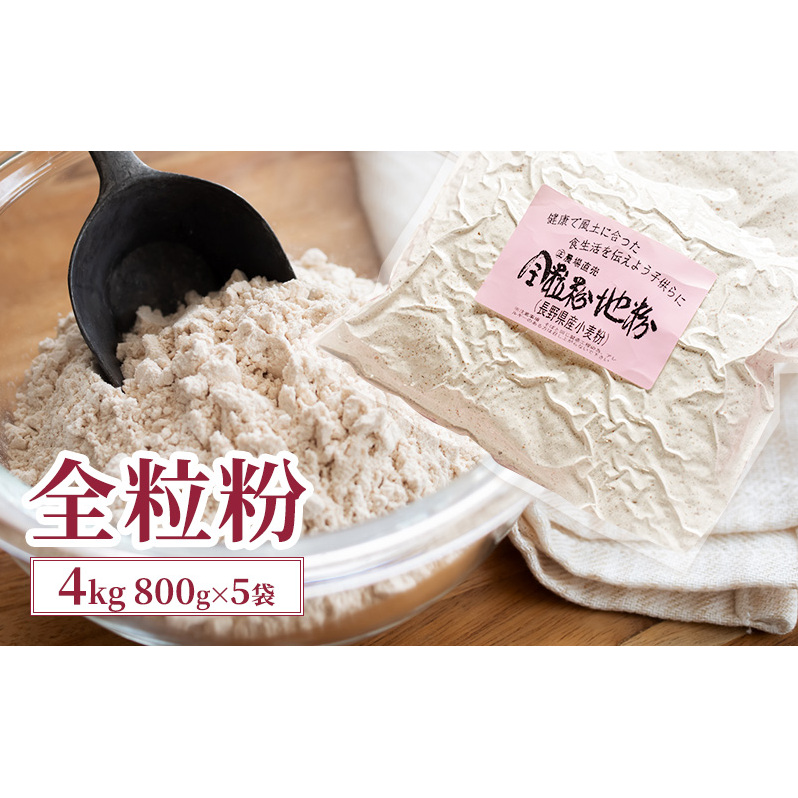 S 4kg (800g×5) Y MBY e   َq p pX^ H@ MB  쌧 cs쌧cs9500ZbgE؁EHHȋ ZbgE؁EHHi