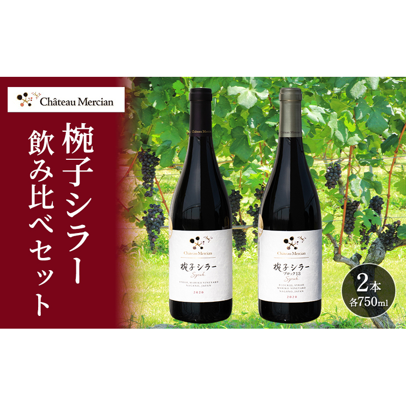 赤ワイン 飲み比べセット 750ml 2本セット 椀子シラー ギフト シャトーメルシャン椀子ワイナリー シャトーメルシャン ワイン お酒 酒 アルコール 家飲み 宅飲み お祝い 記念日 飲み比べ セッ