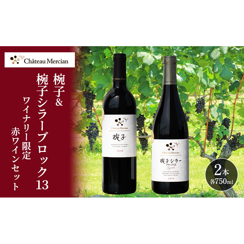【特別2本】椀子シラー 750ml × ヴーヴ・クリコイエローラベル 375ml ヴーヴ・クリコ・イエロー・ラベル・ブリュット NV 1500ml