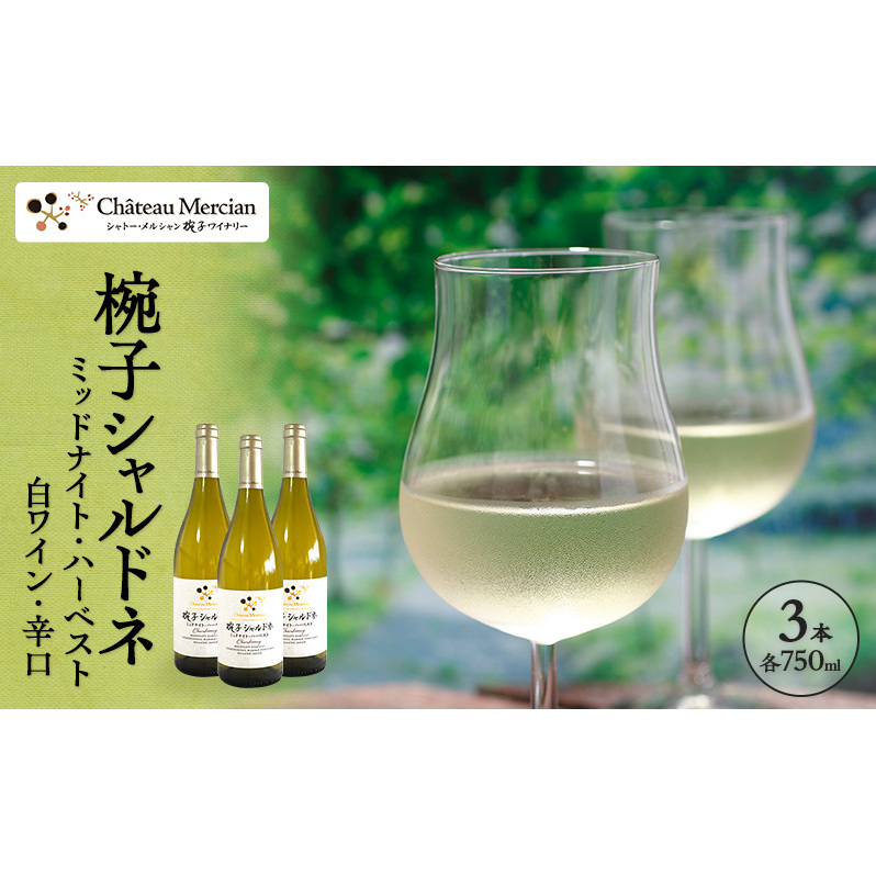  C oqVhl ~bhiCgEn[xXg 750ml 3{ oqi Vg[EV Vhl C h   AR[ Mtg 蕨 v[g쌧cs60500