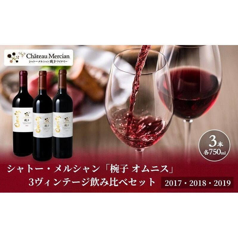 「椀子 オムニス」3ヴィンテージ飲み比べセット ワイン 赤ワイン お酒 酒 アルコール 長野 長野県 上田市長野県上田市215000酒・アルコールワイン