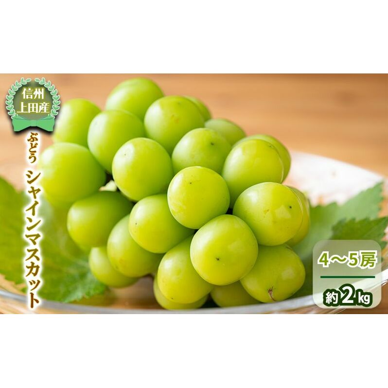 yMBcYz Ԃǂ VC}XJbg 4`5[ 2kg  uhE }XJbg 2kg ʕ  t[c fU[g {̉ʕ {̃t[c 쌧 쒷쌧cs20000ʕEt[c}