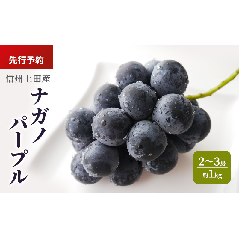 ナガノパープル 信州上田産 約1kg 2〜3房 ぶどう ブドウ 葡萄 ナガノパープル 1kg 種なし 果物 くだもの フルーツ デザート 旬の果物 旬のフルーツ 長野県 長野 上田市長野県上田市15000果物・