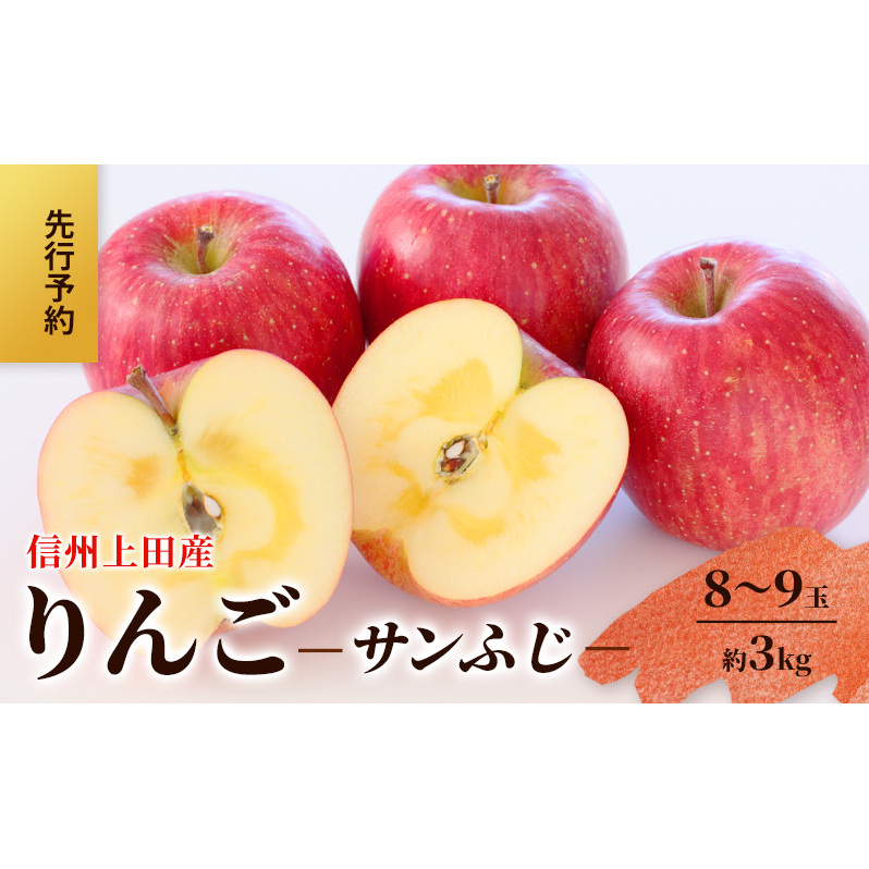 りんご 信州上田産 サンふじ 家庭用 約3kg 8〜9玉 リンゴ 林檎 3kg サンフジ 果物 くだもの フルーツ デザート 旬の果物 旬のフルーツ 傷 長野県 長野 上田市長野県上田市10000果物・フルーツり