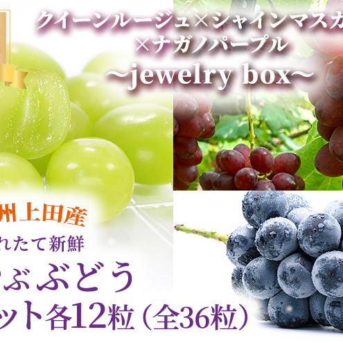 厳選!クイーンルージュ(R)×シャインマスカット×ナガノパープル jewelry box 信州上田産 金剛寺ぶどう 36粒 つぶつぶぶどう 3色 セット 詰め合わせ ぶどう マスカット フルーツ 旬の果物 長野