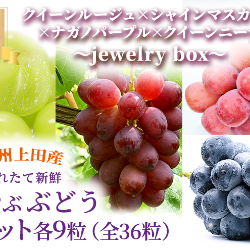 IINC[[W(R)×VC}XJbg×iKmp[v×NC[j[i jewelry box MBcY Ԃǂ 36 ԂԂԂǂ 4F Zbg lߍ킹 Ԃǂ }XJbg t[