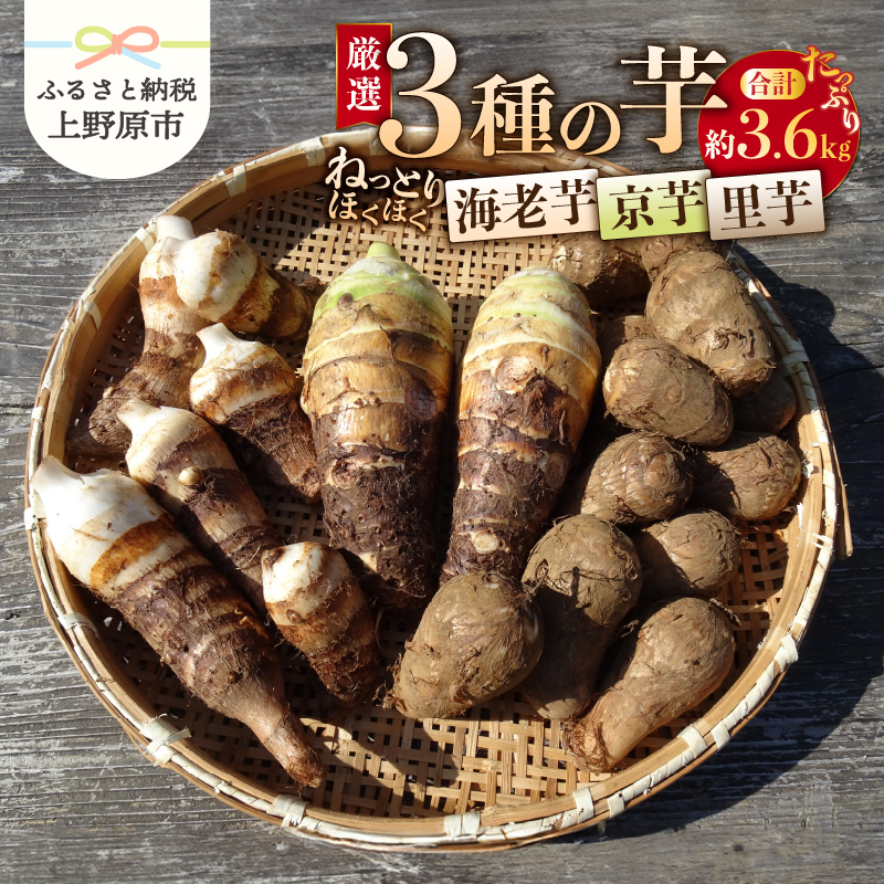 【ふるさと納税】 ◆先行予約◆ \山梨県産!数量限定/ 里芋 京芋 海老芋 ねっとり ほくほく 厳選 期間限定 野菜 化学肥料不使用 農薬不使用 農園直送 2025年度収穫 ギフト プレゼント お取