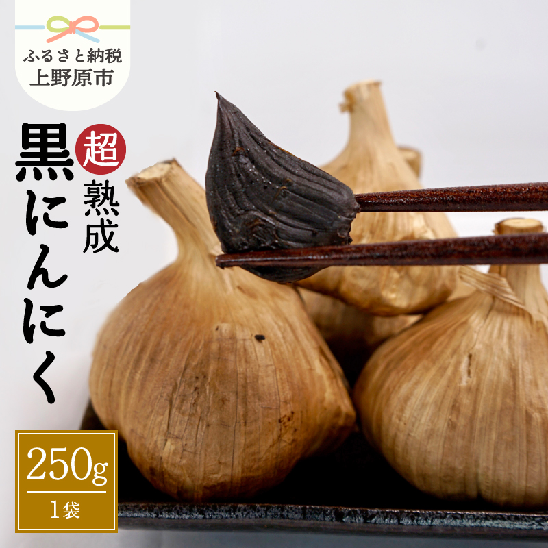 yӂ邳Ɣ[Łz n ɂɂ RY NHi 1܁i250g×1܁j Y k n ɂɂ  t[c ̂悤 Â  R 쌴sR쌴s22000؁Ê