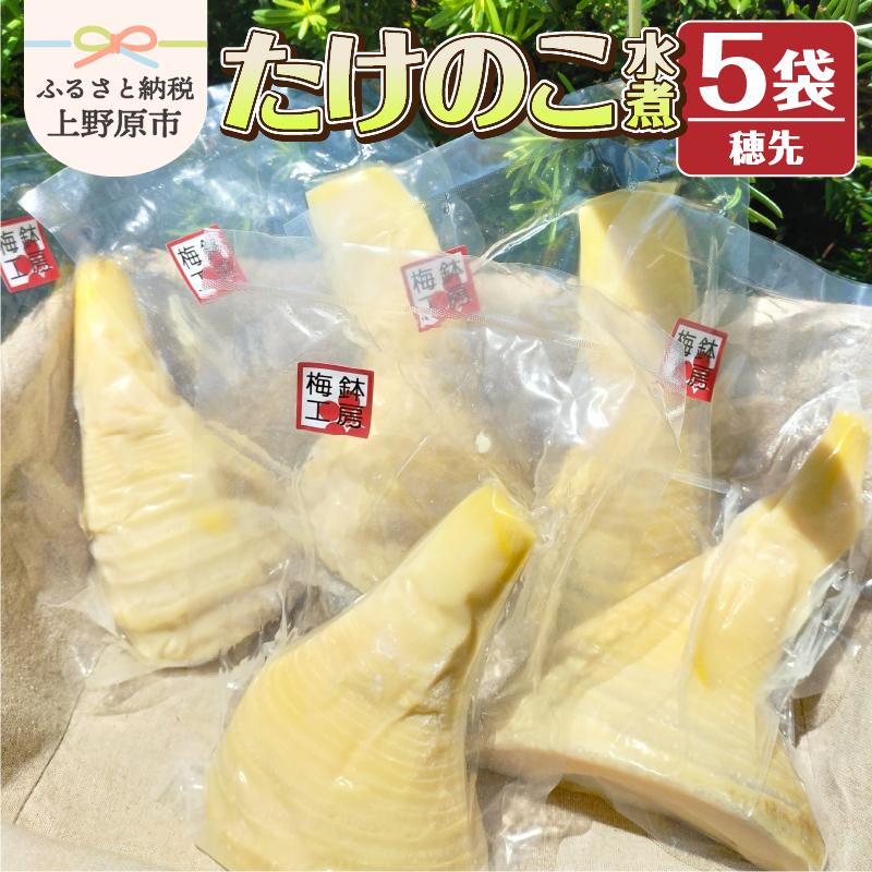 yӂ邳Ɣ[Łz ̂  5 ̂ |̎q  d ^pbN  _炩  蕨 Mtg v[g  ꌧAs R 쌴sR쌴s12000