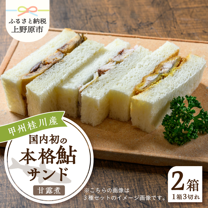 【ふるさと納税】 鮎 鮎サンド 甘露煮 3切れ×2パック 220g×2パック 本格 肉厚 お惣菜 冷凍 冷凍食品 お弁当 絶品 食事処 あやの  山梨県 上野原市山梨県上野原市16000魚介・海産物その他 魚介