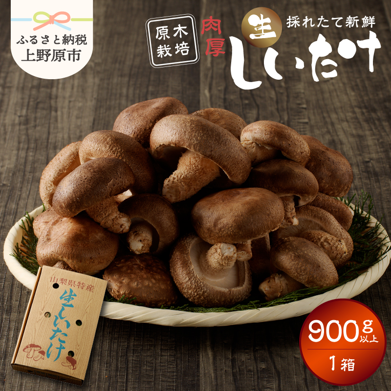 yӂ邳Ɣ[Łz sʌt   ő  ؍͔|  | Ïk  1i900gj  R 쌴sR쌴s12000؁Ê