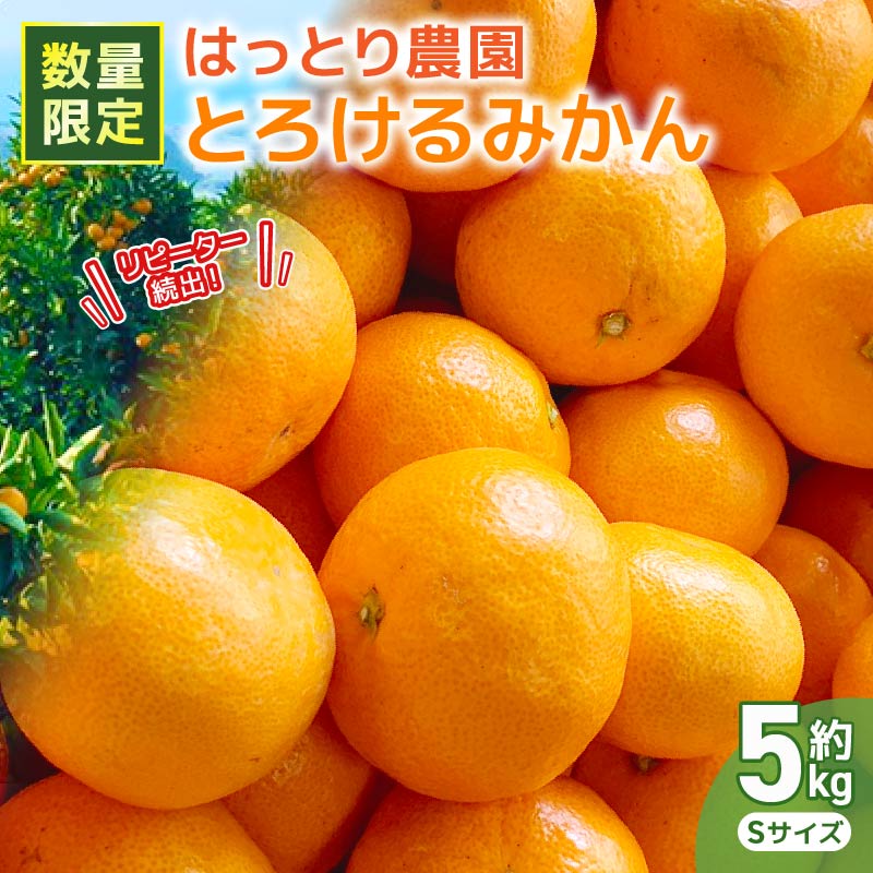 安田町生まれはっとり育ち。の「とろけるみかん」5Kg(サイズS)早期予約 家庭用 みかん 5kg Mサイズ 柑橘 蜜柑 ゆら早生 期間限定 文旦 季節限定 先行予約 ふるさと納税 人気 高知 安田町