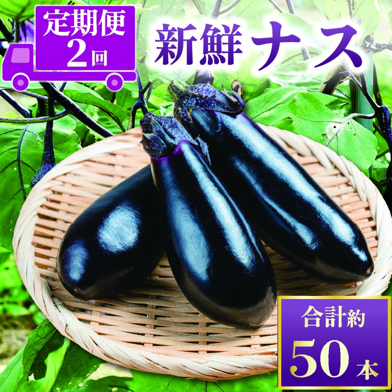 安田町産新鮮ナス20-24本の定期便 2回発送 2か月 2回 定期便 ナス 20本以上 野菜 茄子 産地直送 早期予約 季節限定 夏野菜 ふるさと納税茄子 ふるさと納税なす 高知 安田町TR-2000高知県安田町120