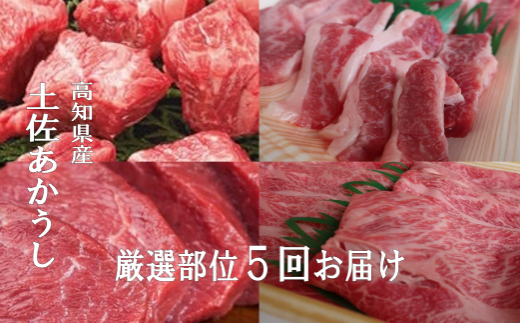 希少 土佐あかうし 定期便 5回 定期便 5回  土佐あかうし 厳選部位 牛肉  もも肉 ブロック サーロイン ステーキ しゃぶしゃぶ用 スライス カルビ 焼肉用 冷凍 国産 国産牛 和牛 ブランド牛 赤