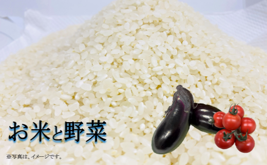令和7年 新米 ヒノヒカリ 5kg ちょっと野菜の詰め合わせ 令和7年産 米 早期予約 5kg  野菜 セット 詰め合わせ ヒノヒカリ 新米 お米 白米 トマト なす みかん 新鮮 採れたて おこめ  産地直送 高