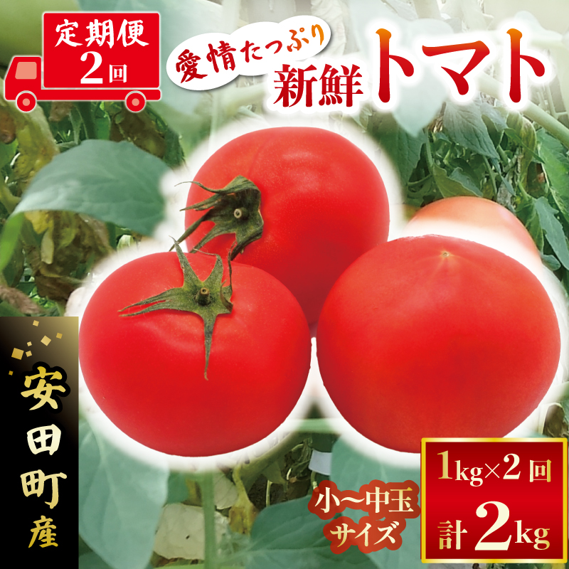 安田町産新鮮トマト 1kg 定期便 2回発送 早期予約 2ヶ月 定期便 トマト 1kg 新鮮 野菜 旬 とまと 夏野菜 期間限定 季節限定 先行予約 ふるさと納税 人気 高知 安田町 TR-05高知県安田町14000野菜・