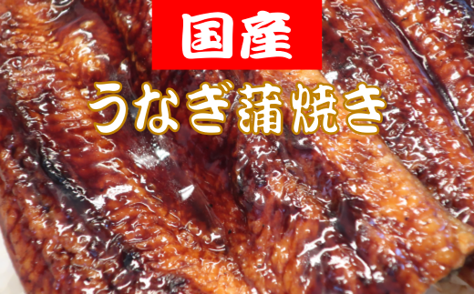 国産うなぎの蒲焼 約150g×2匹 うなぎ 鰻 150g×2匹 300g 国産 蒲焼  冷凍 特製タレ 山椒 付き うな重 うな丼 ひつまぶし 土用の丑の日 かばやき ご飯 米 ごはん 人気 高知県 安田町 TR-08高知県安田