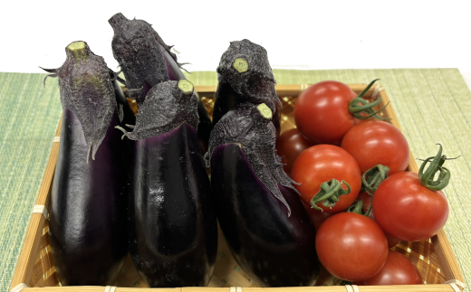 安田町の野菜 ナス トマト 少量セット 野菜 お試し セット 詰め合わせ ナス 5本トマト 150g x 2 300g 旬の野菜 季節野菜 やさい 国産 人気 季節 旬 新鮮 定番 高知県 安田町 TR-15高知県安田町5000野