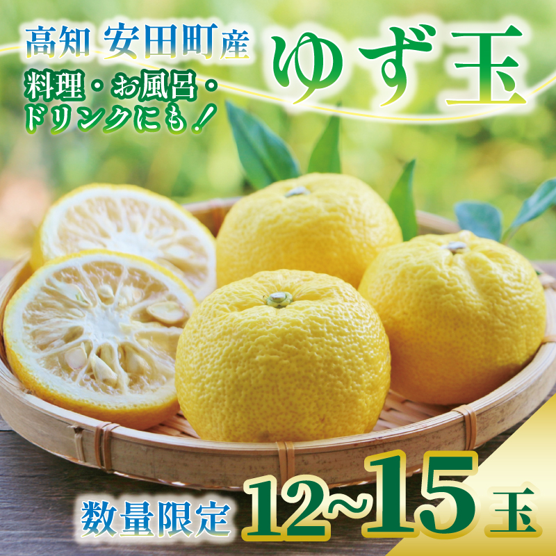 安田町産 ゆず玉料理にお酒にお風呂にどうぞ 期間限定 ゆず 12〜15玉 柚子 果物 柑橘 フルーツ スイーツ デザート アレンジ 柚子風呂 ゆず風呂 柚子湯 早期予約 季節限定 ふるさと納税 人気