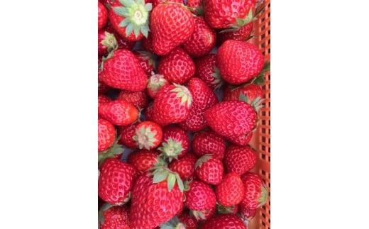 Cꂢ()4pbN  E݂Ă  Cꂢ 1kg 250g×4pbN TCY ʕ t[c ①  lC Y Â  _Y W ACX ^g m c  V-27m