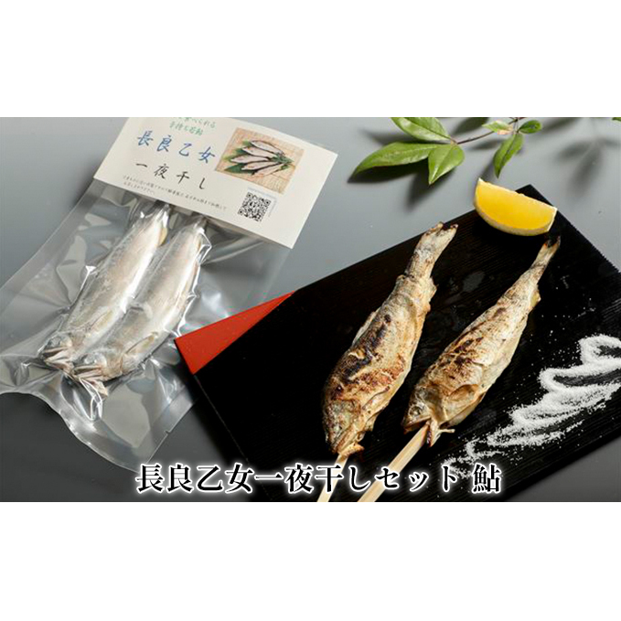 長良乙女一夜干しセット 鮎 和食 惣菜 魚 つまみ おかず お酒 晩酌 あて お供 肴 魚料理 調理済み 川魚 骨 柔らかい 頭 丸ごと 旨味 凝縮 冷凍 干物 岐阜県美濃市10000魚介・海産物干物