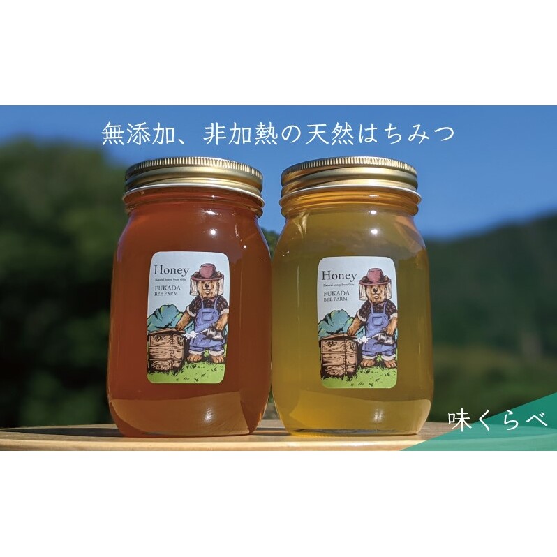 合計1200g 天然蜂蜜 国産蜂蜜 非加熱 生はちみつ 岐阜県 美濃市産 味比べ 蜂蜜600g入りガラス瓶 2本セットC3 深田養蜂のハチミツ岐阜県美濃市24000鍋セット・総菜・加工食品ジャム・はちみつ