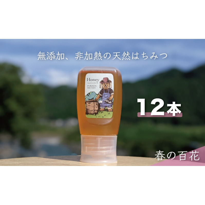 合計3600g 天然蜂蜜 国産蜂蜜 非加熱 生はちみつ 岐阜県 美濃市産 春 (蜂蜜300g入りピタッとボトル12本セット) A18 深田養蜂のハチミツ岐阜県美濃市72000鍋セット・総菜・加工食品ジャム・はち