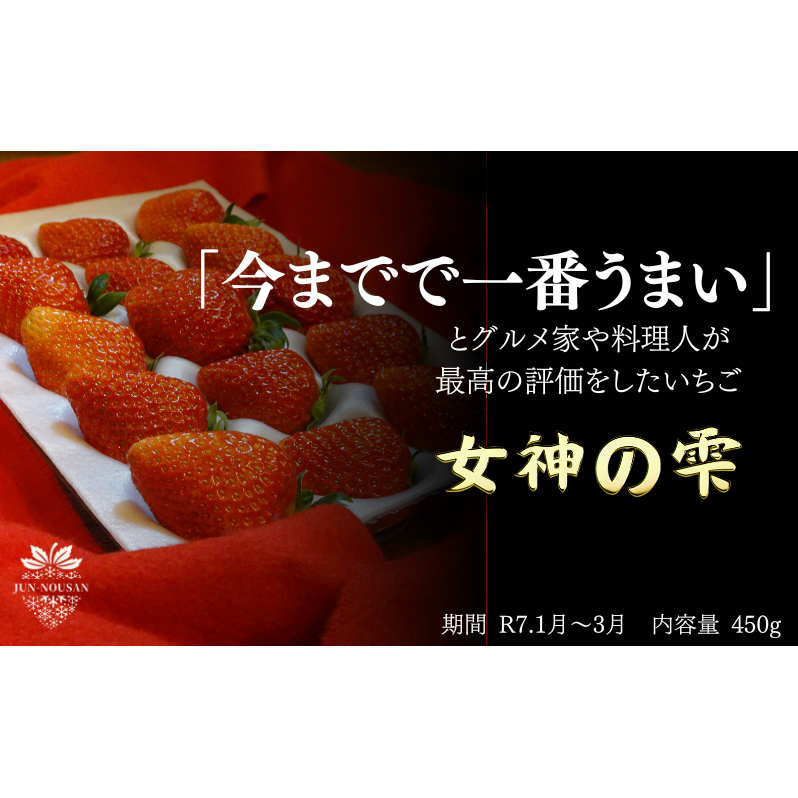 「今までで1番旨い」とグルメ家がうなったイチゴ【女神の雫】/2025年1月から3月/450g/岐阜県/美濃市/じゅん農産/1岐阜県美濃市35000果物・フルーツいちご