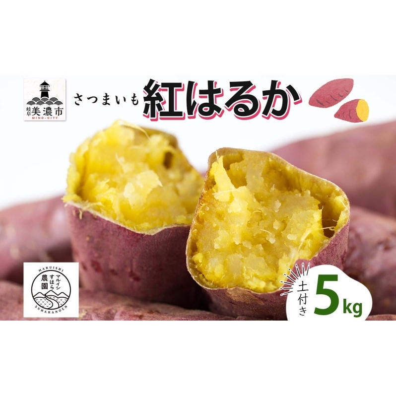 さつまいも 紅はるか 土付き 5kg 栽培期間中 化学肥料不使用 サツマイモ さつま芋 スイートポテト 野菜 旬 芋 甘い お取り寄せ 産地直送 産直 農場 人気  マルイシすはら農園 岐阜県 美濃市岐