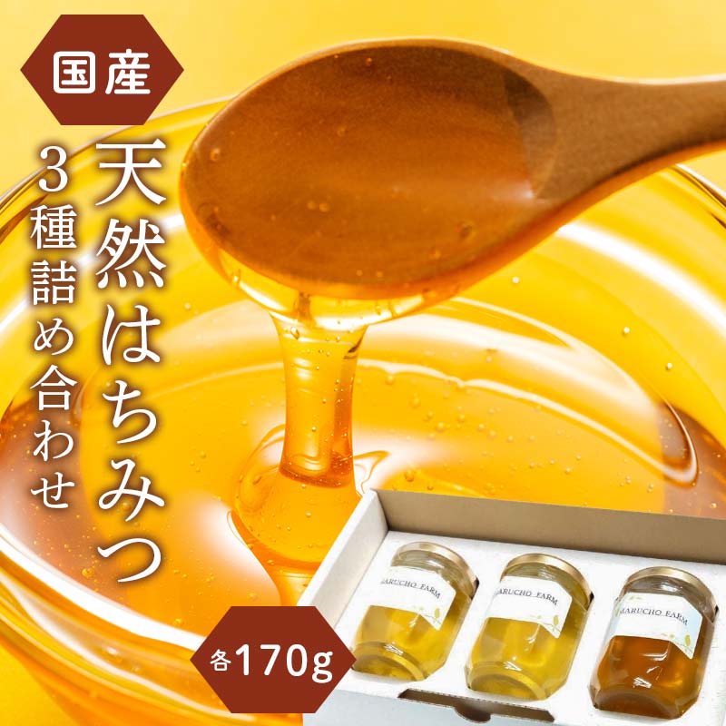 日本ミツバチ完熟蜂蜜(春採り)600g×2
