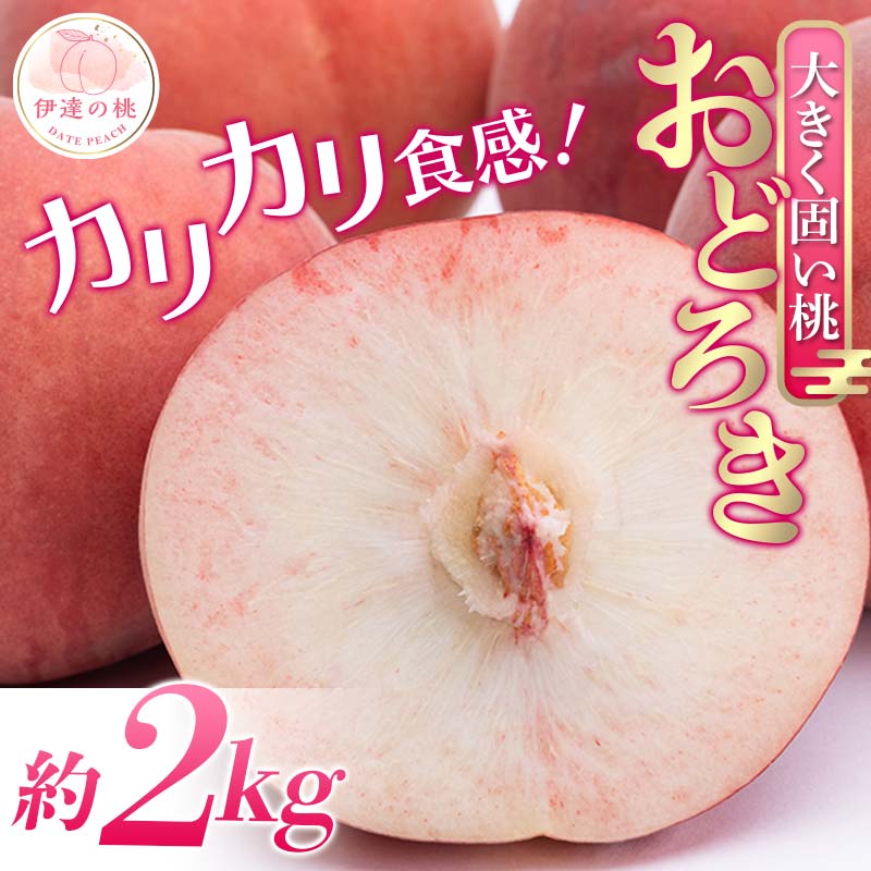 y2026Noוs\zY ǂ낫 2kg (5`8) _ƐY@l܂ ł ł ɒB̓  t[c ʕ   momo F20C-496ɒBs13000ʕEt[c