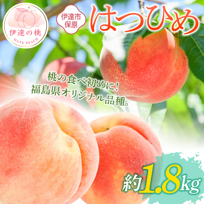 y2026Noוs\zY ͂Ђ 1.8kg (6`12) ʎ ɒB̓  t[c ʕ   momo F20C-506ɒBs11000ʕEt[cE