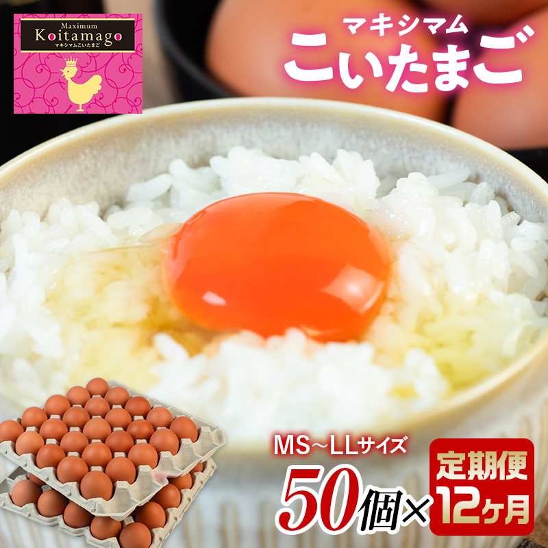【TVで話題沸騰!】12ヶ月連続定期便!とにかく黄身が濃いたまご「マキシマムこいたまご」毎月50個 伊達市 福島県 国産 MS〜LLサイズ 養鶏場直送 卵 たまご 玉子 生卵 鶏卵  F20C-565福島県伊達