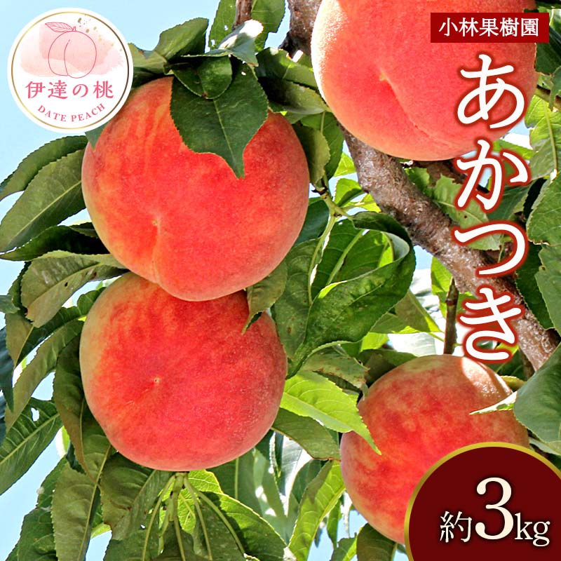 y2026Noוs\zY  3kg (9`12) щʎ ɒB̓  t[c ʕ   momo F20C-590ɒBs13000ʕEt[cE