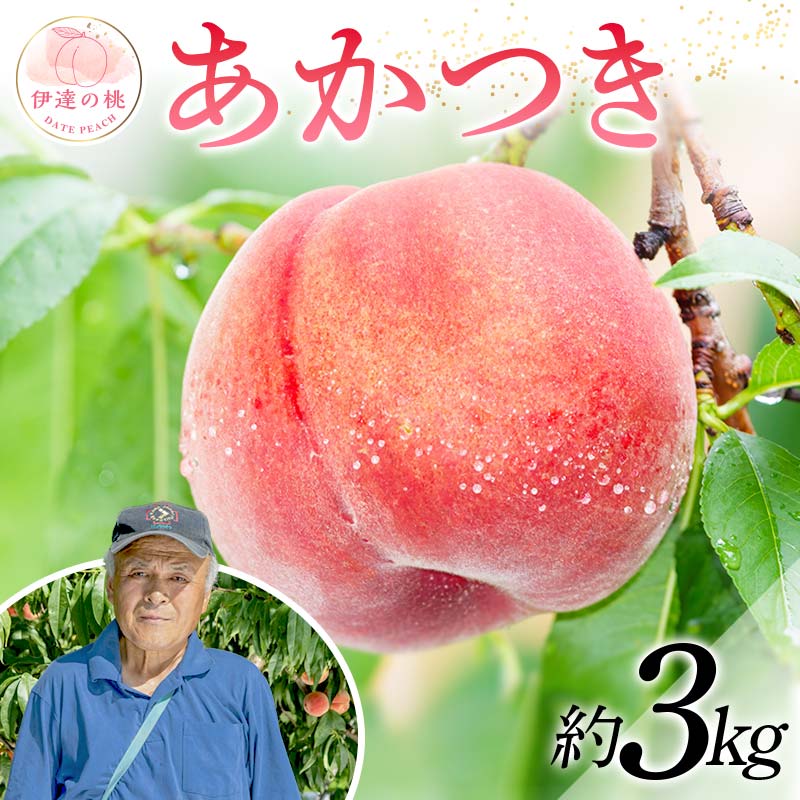 y2026Noוs\zY  3kg (9`12) ֓ 폺 VN ɒB̓  t[c ʕ   momo F20C-607ɒBs13000ʕEt[cE