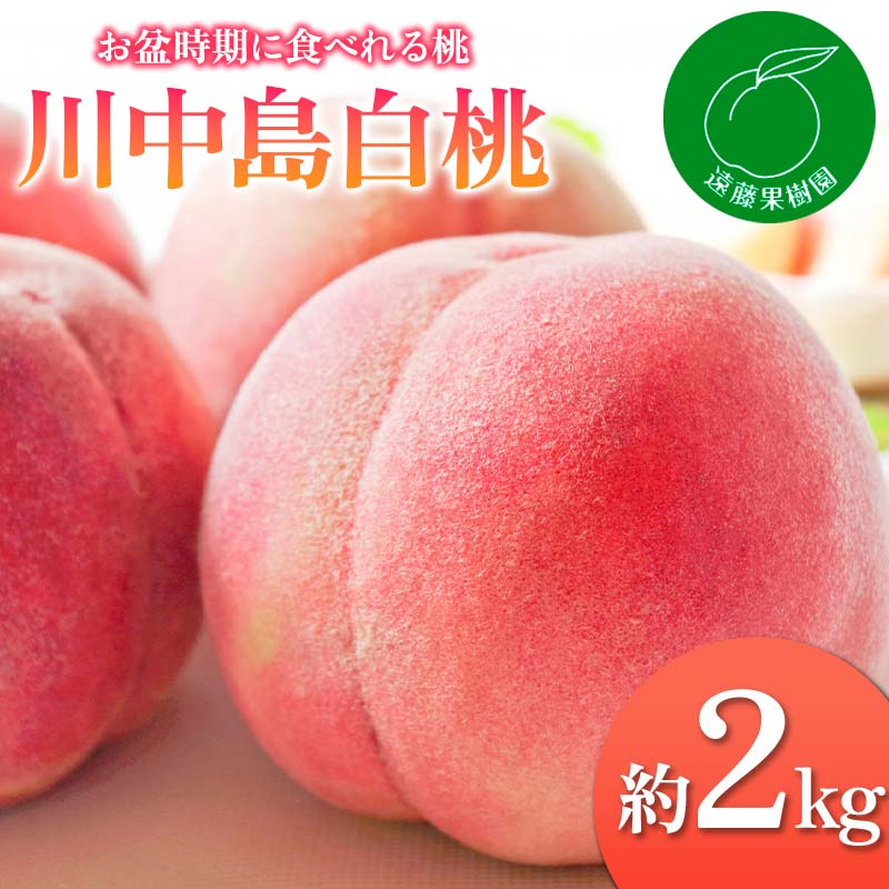 y2026Noוs\zY 쒆 2kg (5`9) ʎ   ɒB̓  t[c ʕ   momo F20C-831ɒBs11000ʕEt[cE