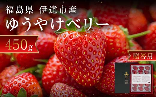 <2026年発送>【贈答用】極上いちご!福島オリジナル品種 ゆうやけベリー 450gイチゴ 苺 フルーツ 果物 伊達市 F20C-958福島県伊達市18000果物・フルーツいちご