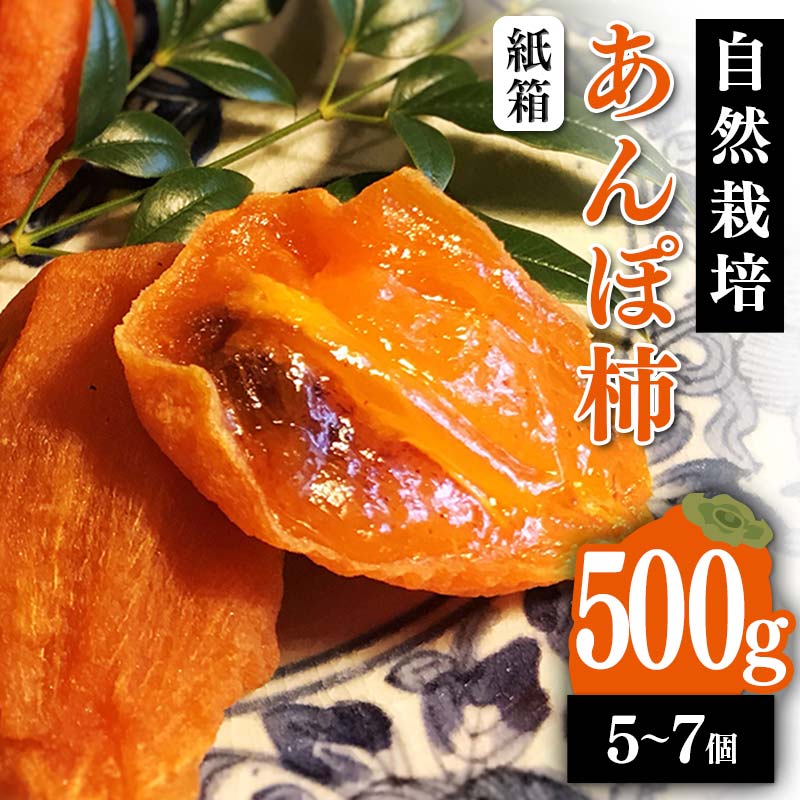 【贈答用】自然栽培あんぽ柿 紙箱 500g(5〜7 個入り) F20C-970福島県伊達市9000果物・フルーツその他 果物・フルーツ