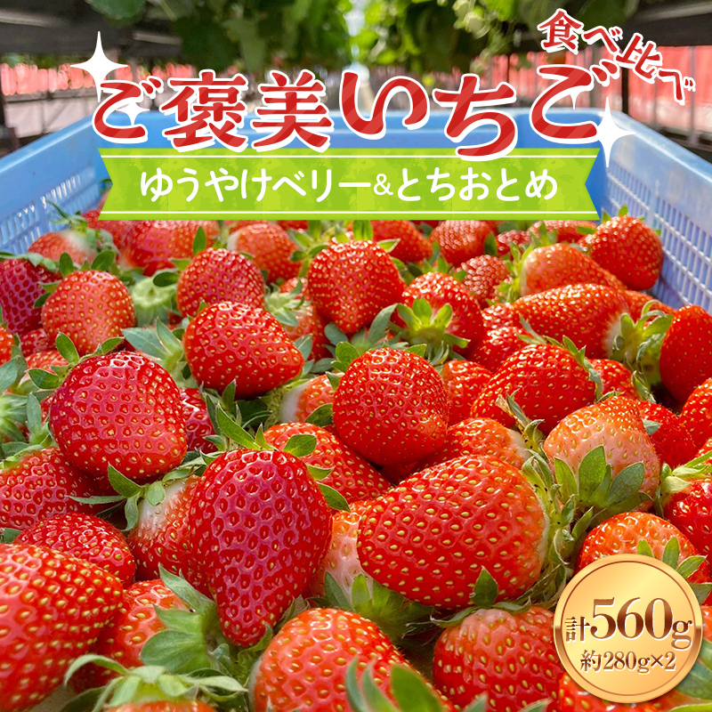 【ご褒美いちご】「ゆうやけベリー」「とちおとめ」の食べ比べセット 約280g×2パック F20C-987福島県伊達市10000果物・フルーツいちご