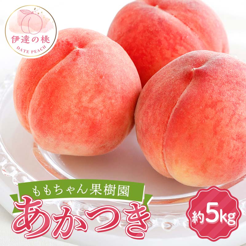 y2026Noוs\zY  5kg (13`18) ʎ ̓ ɒB̓  t[c ʕ   momo F21C-043ɒBs20000ʕEt[cE