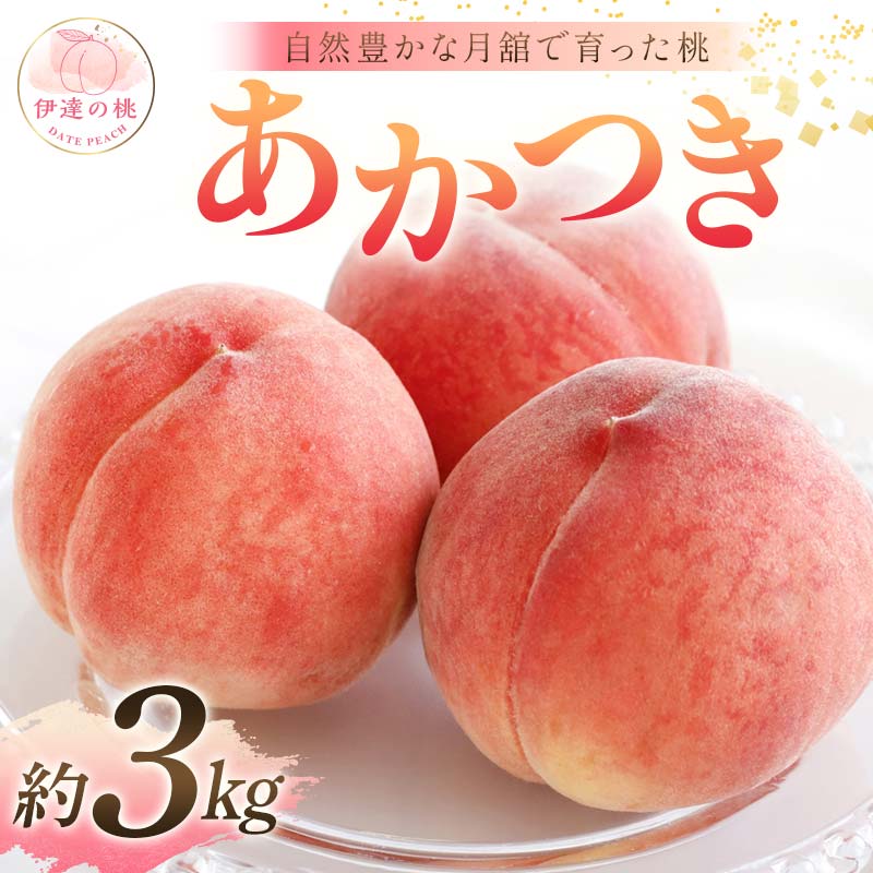 y2026Noוs\zY  3kg (9`12) Xʎ RLȌڂň ɒB̓  t[c ʕ   momo F21C-053ɒBs13000ʕEt[cE
