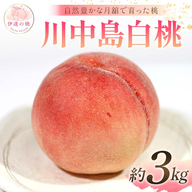 y2026Noוs\zY 쒆 3kg (8`12) Xʎ RLȌڂň ɒB̓  t[c ʕ   momo F21C-057ɒBs13000ʕEt[cE