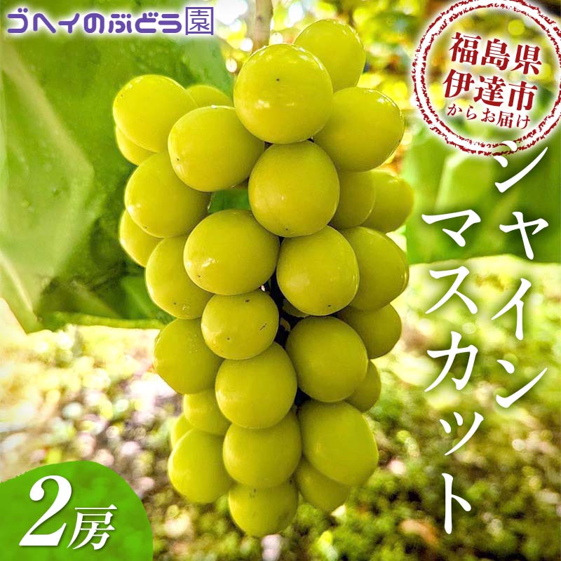 12月発送! シャインマスカット 2房 (1.2〜1.4kg) 果物 くだもの フルーツ 国産 名産 食品 F21C-116福島県伊達市18000果物・フルーツマスカット・ぶどう