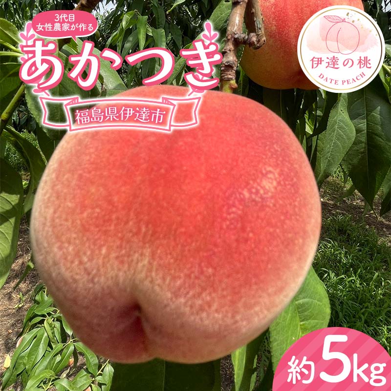 【2026年出荷分先行予約】福島県産 あかつき 約5kg (18〜22玉) 小野農園 3代目の女性の農家が作る桃 伊達の桃 桃 フルーツ 果物 もも モモ momo F21C-129福島県伊達市22000果物・フルーツもも・すも