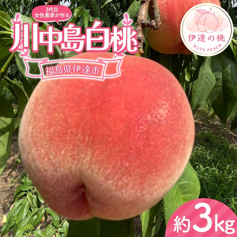 y2026Noוs\zY 쒆 3kg (8`12) _ 3ڂ̏̔_Ƃ铍 ɒB̓  t[c ʕ   momo F21C-130ɒBs15000ʕEt[cE