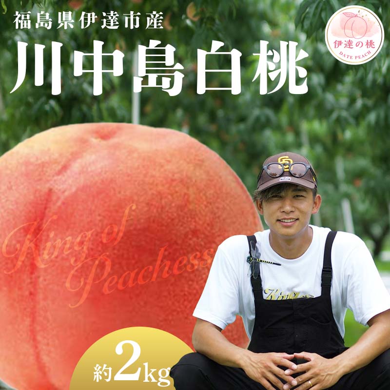 y2026Noוs\zY 쒆 2kg (6`8) KING OF PEACHESS LOIus[` ɒB̓  t[c ʕ   momo F21C-145ɒBs14000ʕEt[cE