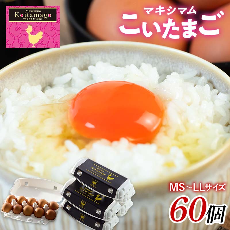 【TVで話題沸騰!】とにかく黄身が濃いたまご「マキシマムこいたまご」60個入り 伊達市 福島県 国産 MS〜LLサイズ 卵 たまご 玉子 生卵 鶏卵 F21C-181福島県伊達市10000卵・乳製品卵(鶏、烏骨