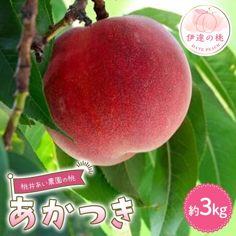 y2026Noוs\zY  3kg (9`12) 䂠_ ɒB̓  t[c ʕ   momo F21C-206ɒBs14000ʕEt[cE