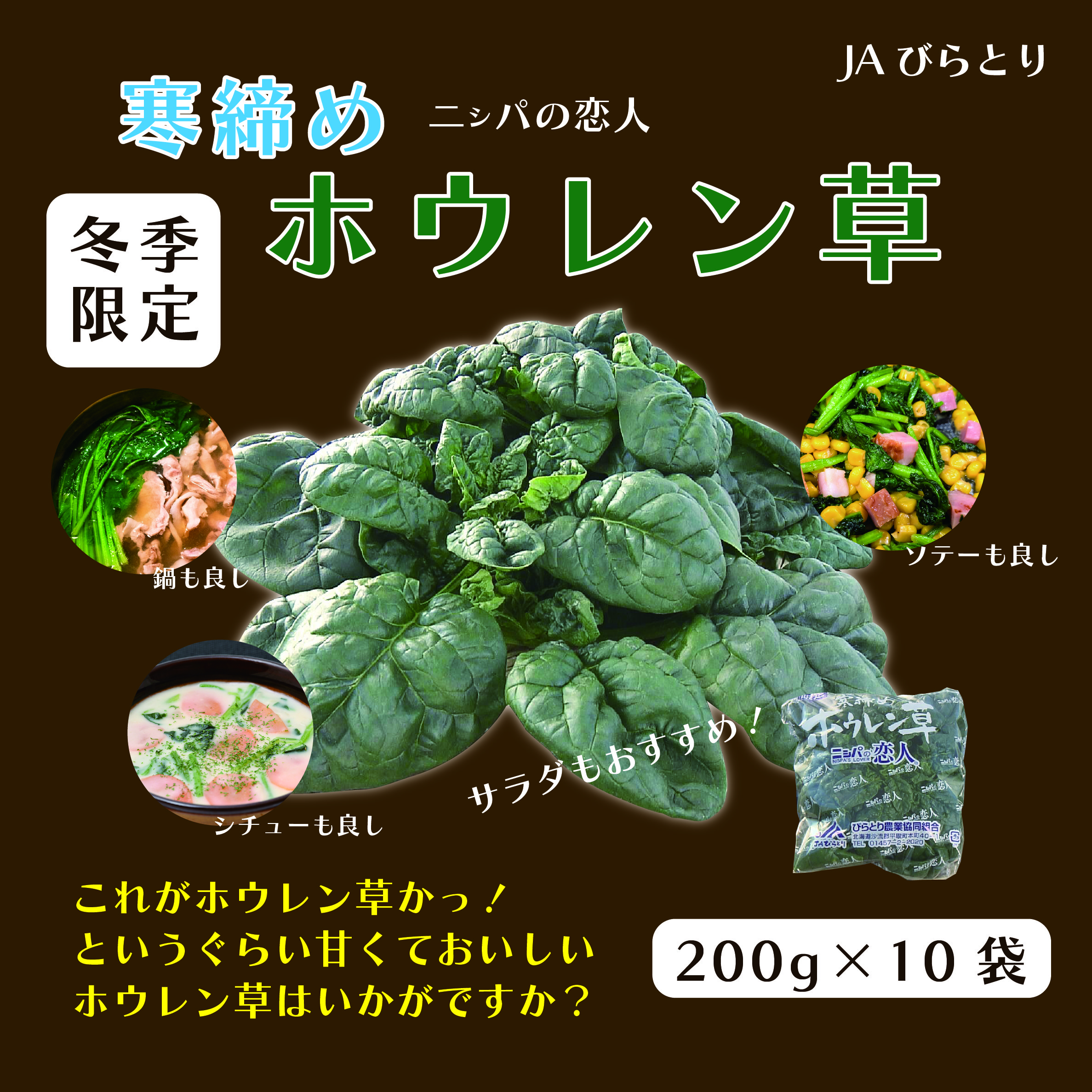 【先行予約/12月中旬以降発送】【北海道平取町産】寒締めホウレン草(ちぢみほうれん草)200g×10袋 BRTO003北海道平取町10000野菜・きのこその他 野菜